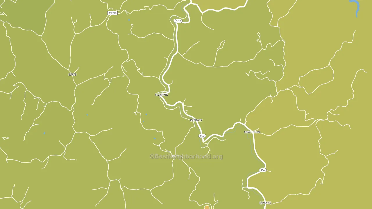 Radnor, WV block-group voter-turnout map