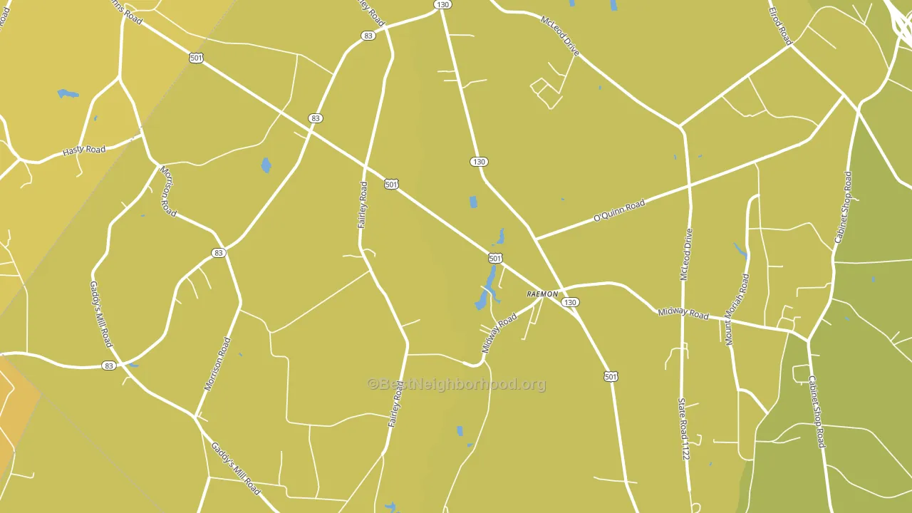 Raemon, NC block-group voter-turnout map