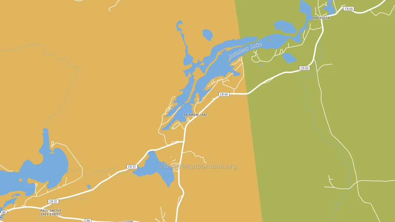 Rainbow Lake, NY block-group voter-turnout map