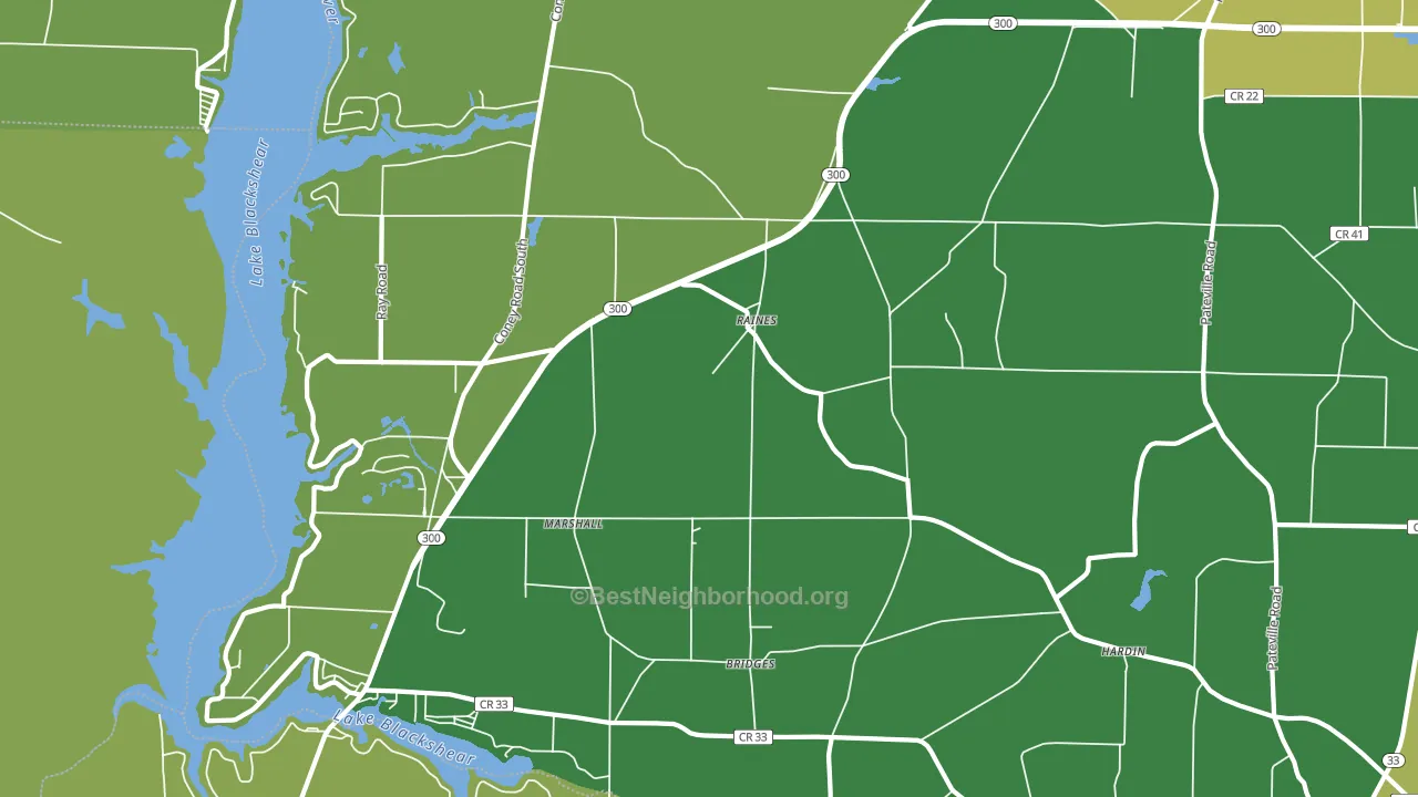 Raines, GA block-group voter-turnout map