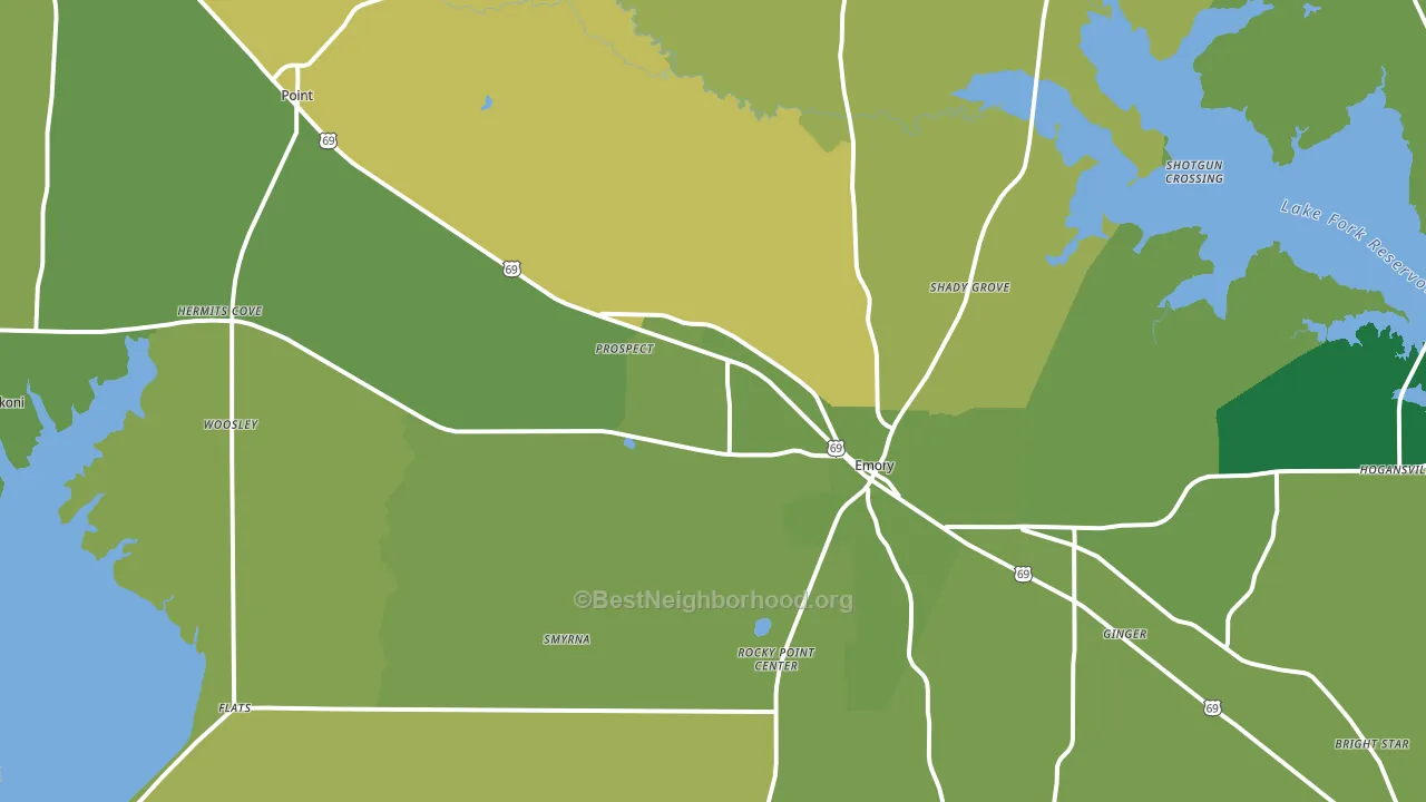 Rains County, TX block-group voter-turnout map