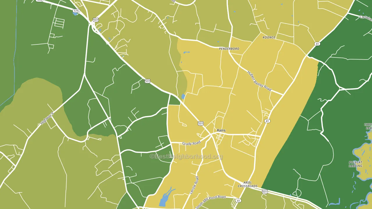Rains, SC block-group voter-turnout map
