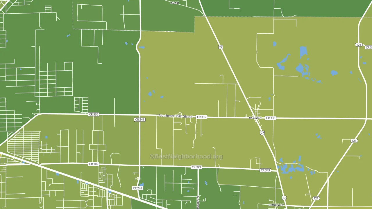 Raleigh, FL block-group voter-turnout map