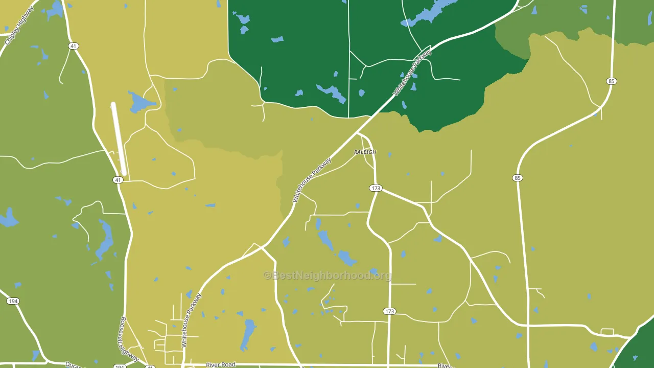 Raleigh, GA block-group voter-turnout map
