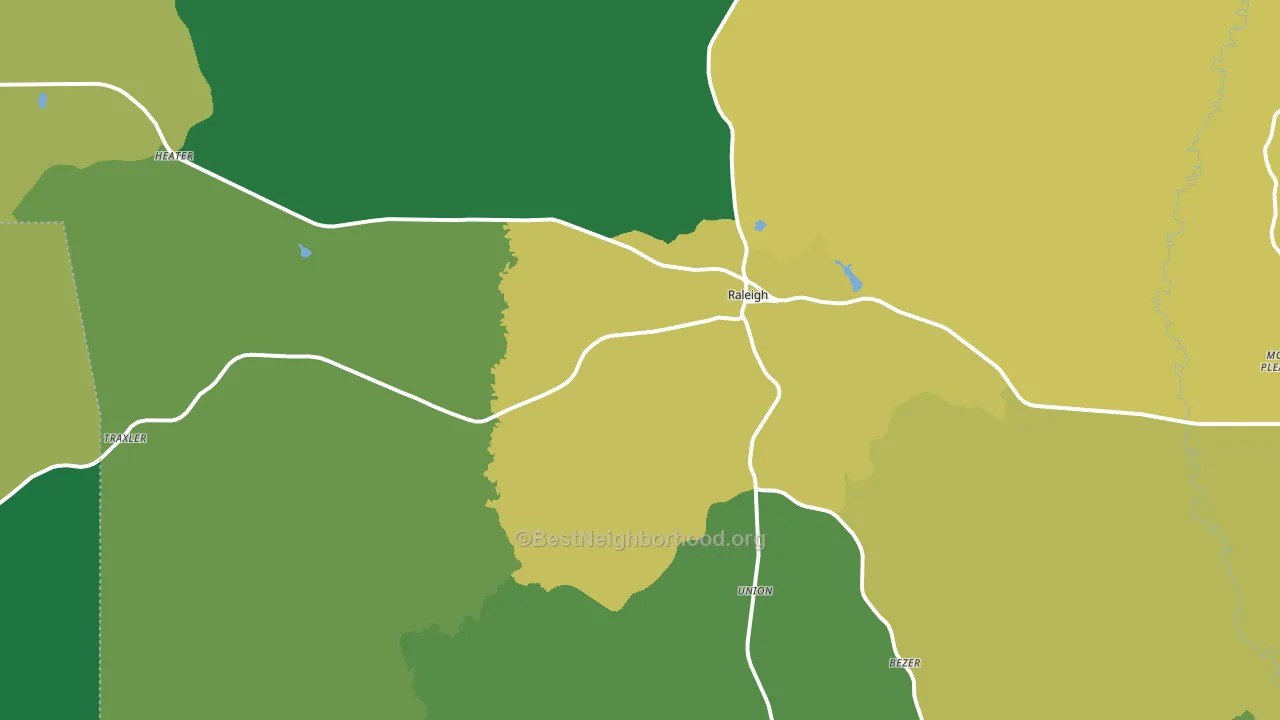 Raleigh, MS block-group voter-turnout map