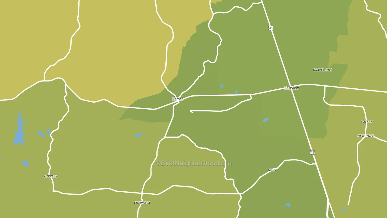 Ramer, TN block-group voter-turnout map