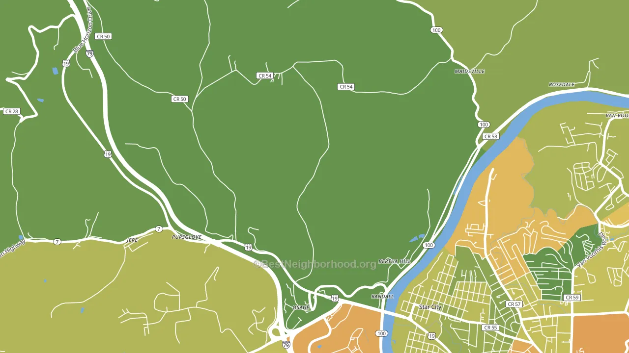 Randall, WV block-group voter-turnout map