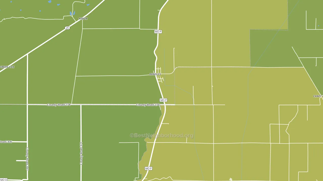 Randles, MO block-group voter-turnout map