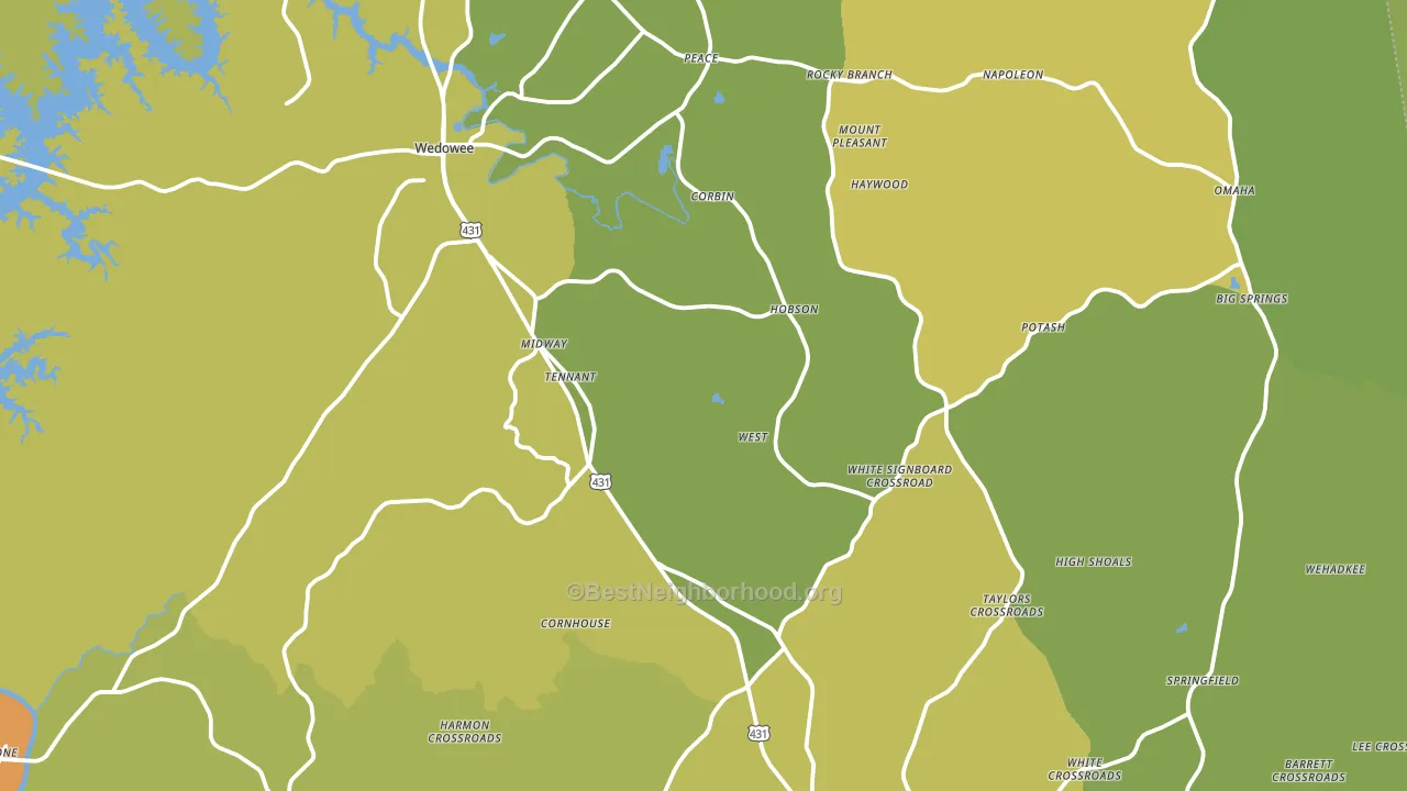Randolph County, AL block-group voter-turnout map