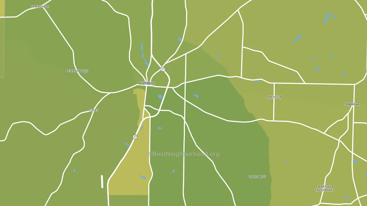 Randolph County, GA block-group voter-turnout map