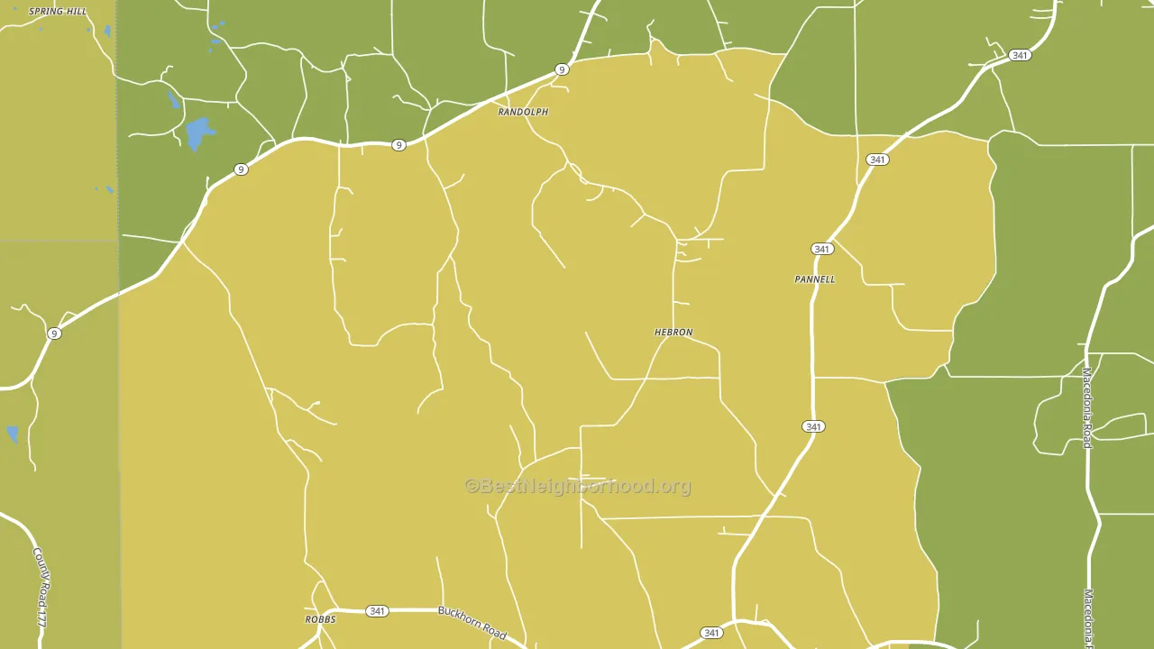 Randolph, MS block-group voter-turnout map