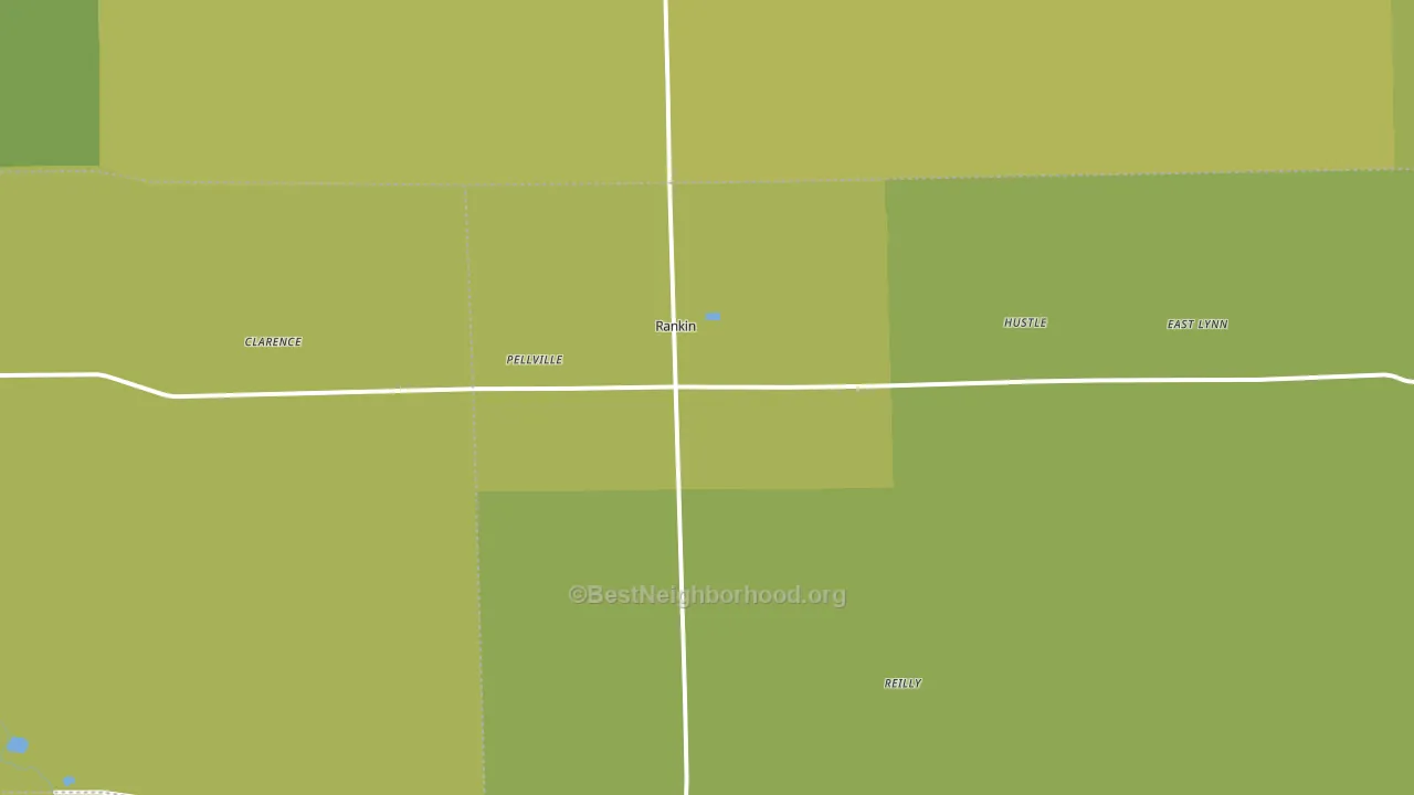 Rankin, IL block-group voter-turnout map