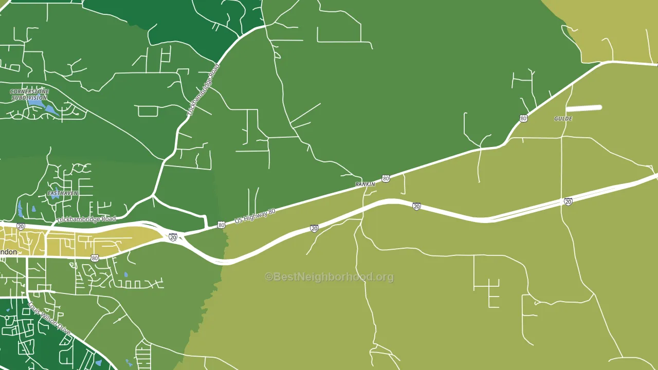 Rankin, MS block-group voter-turnout map