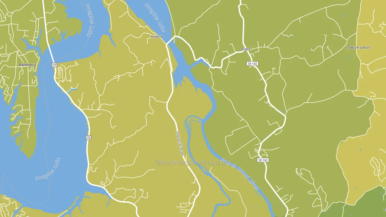 Rankin, TN block-group voter-turnout map