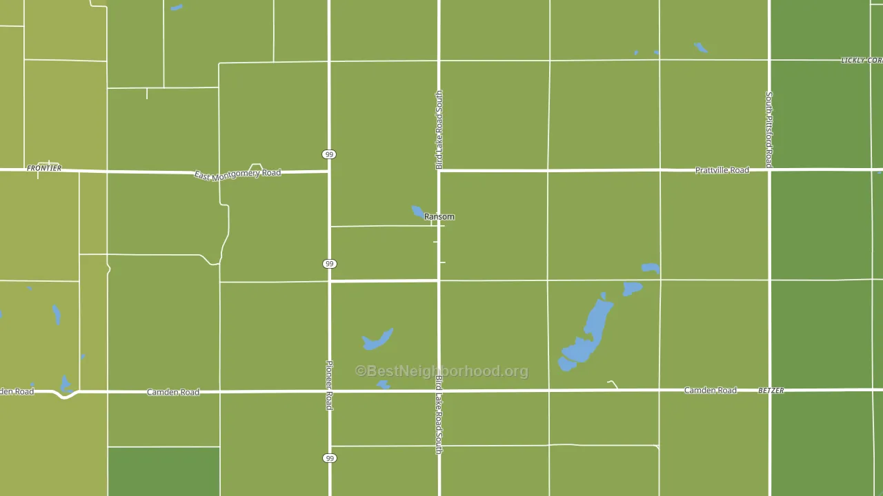 Ransom, MI block-group voter-turnout map