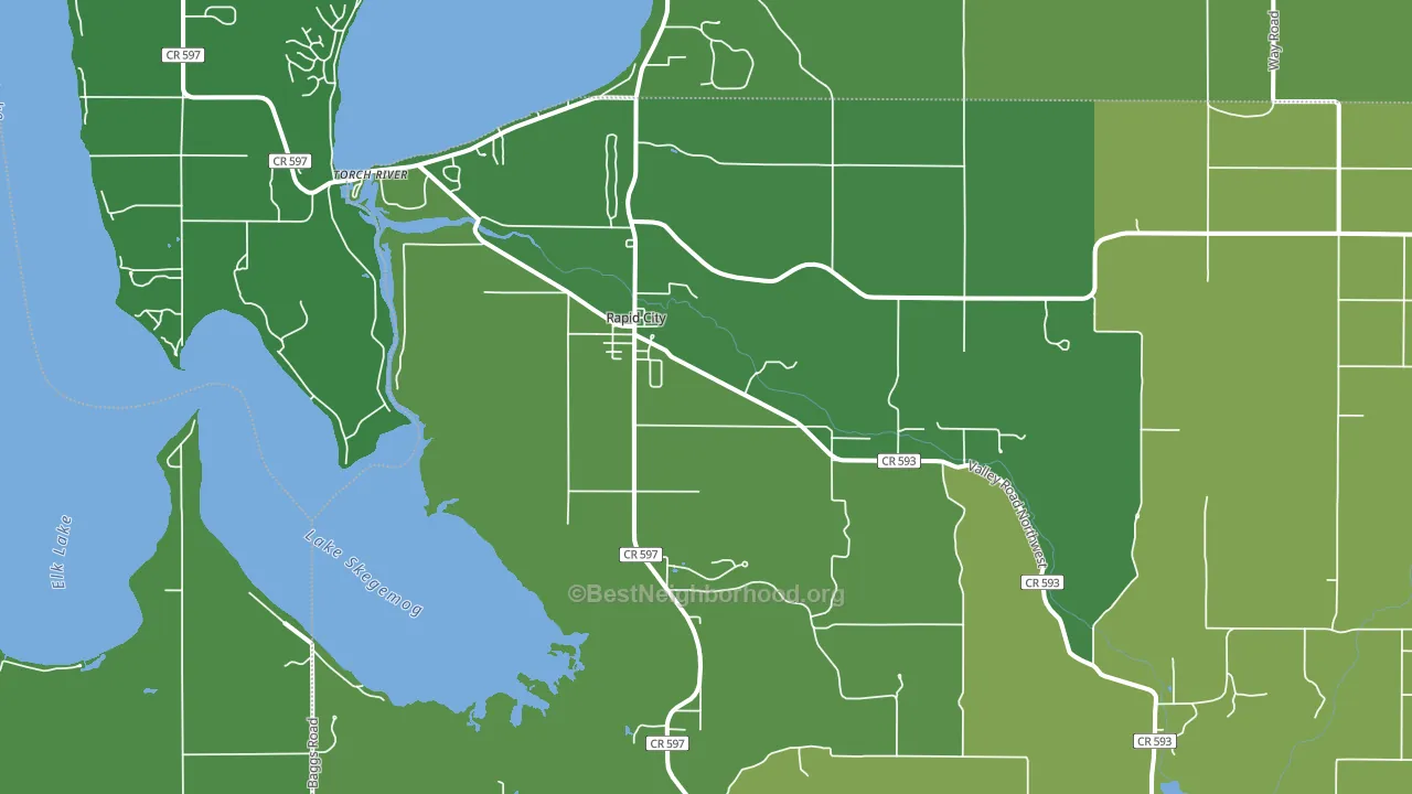Rapid City, MI block-group voter-turnout map