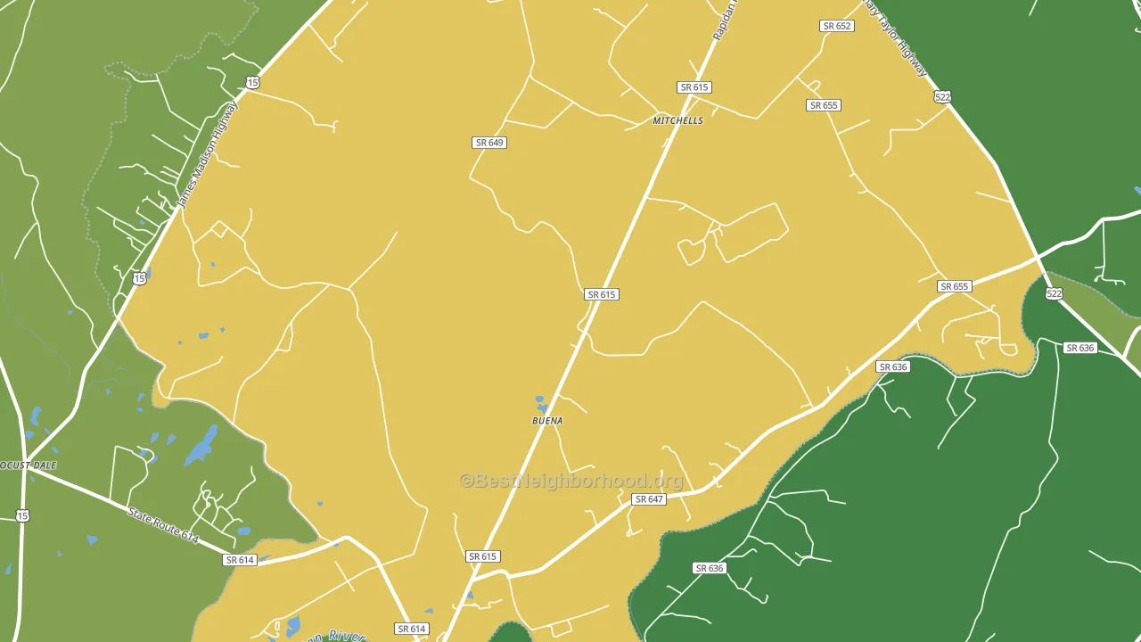 Rapidan, VA block-group voter-turnout map