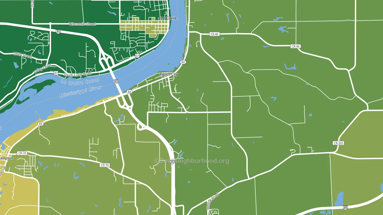 Rapids City, IL block-group voter-turnout map