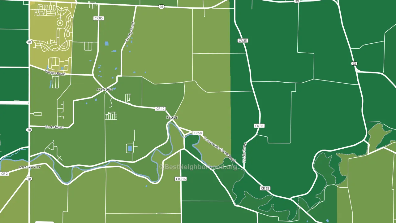 Rapids, NY block-group voter-turnout map