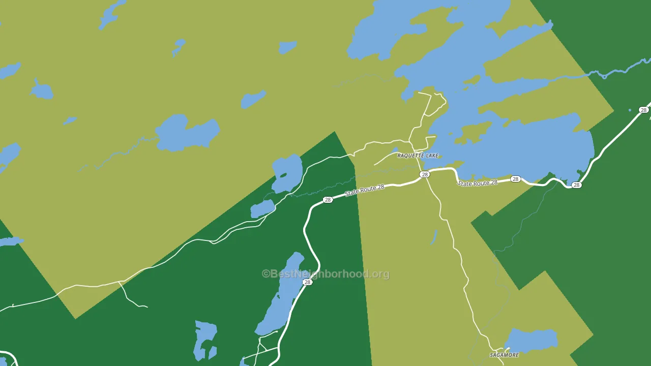 Raquette Lake, NY block-group voter-turnout map