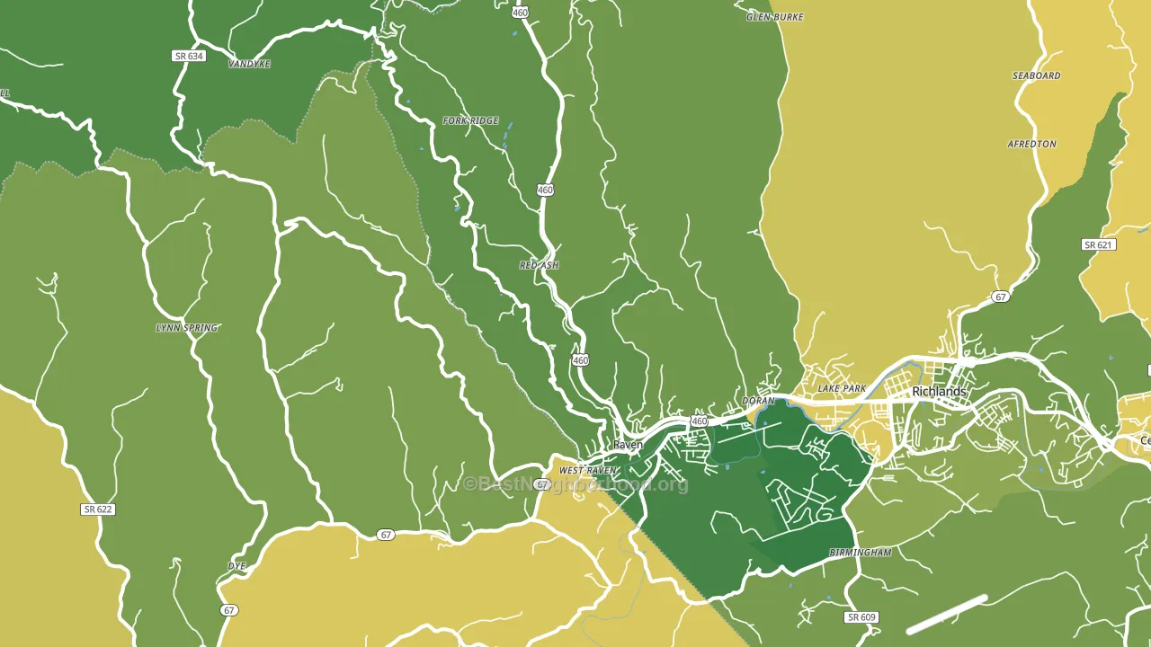 Raven, VA block-group voter-turnout map
