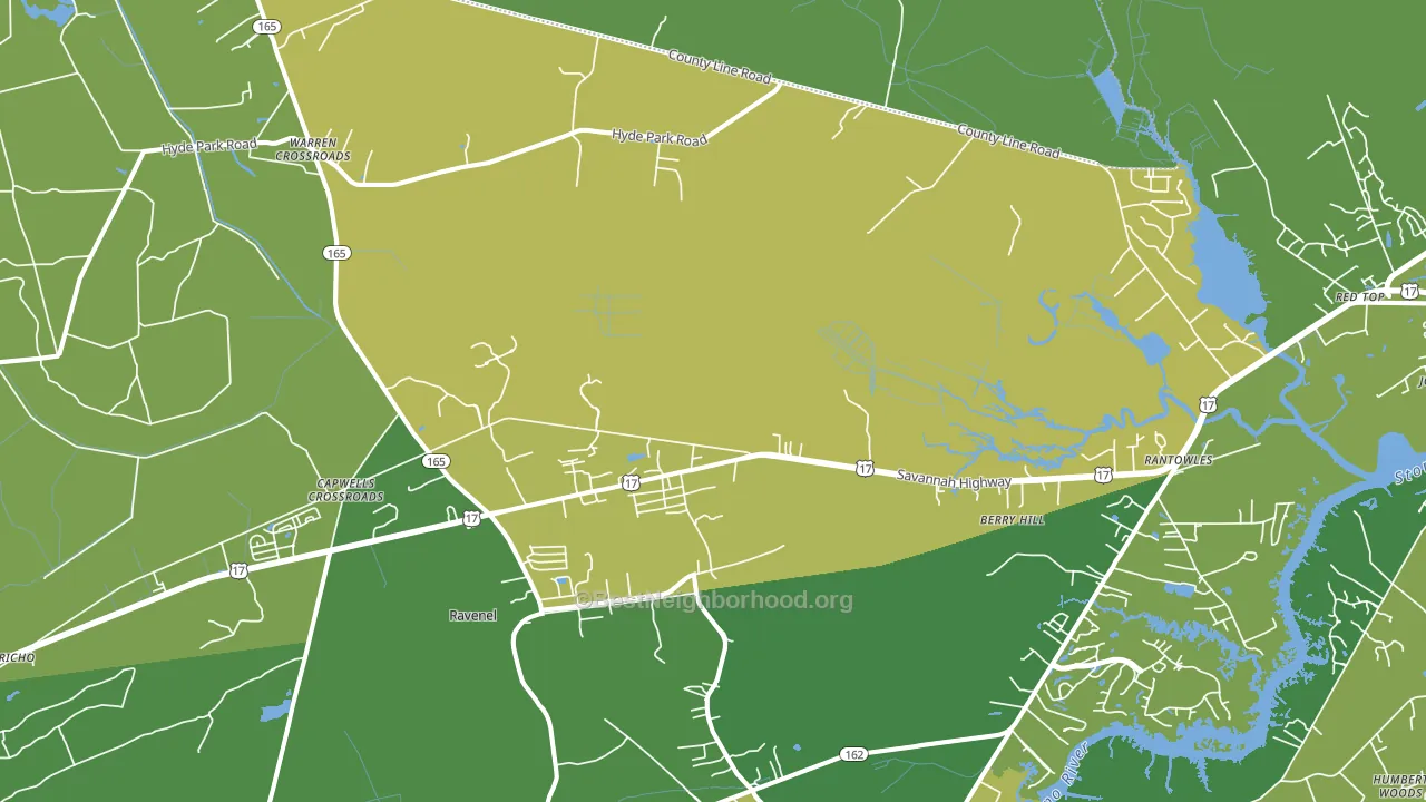 Ravenel, SC block-group voter-turnout map