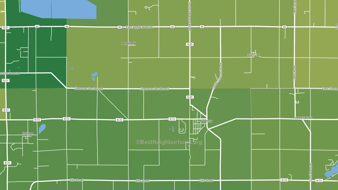 Ravenna, MI block-group voter-turnout map