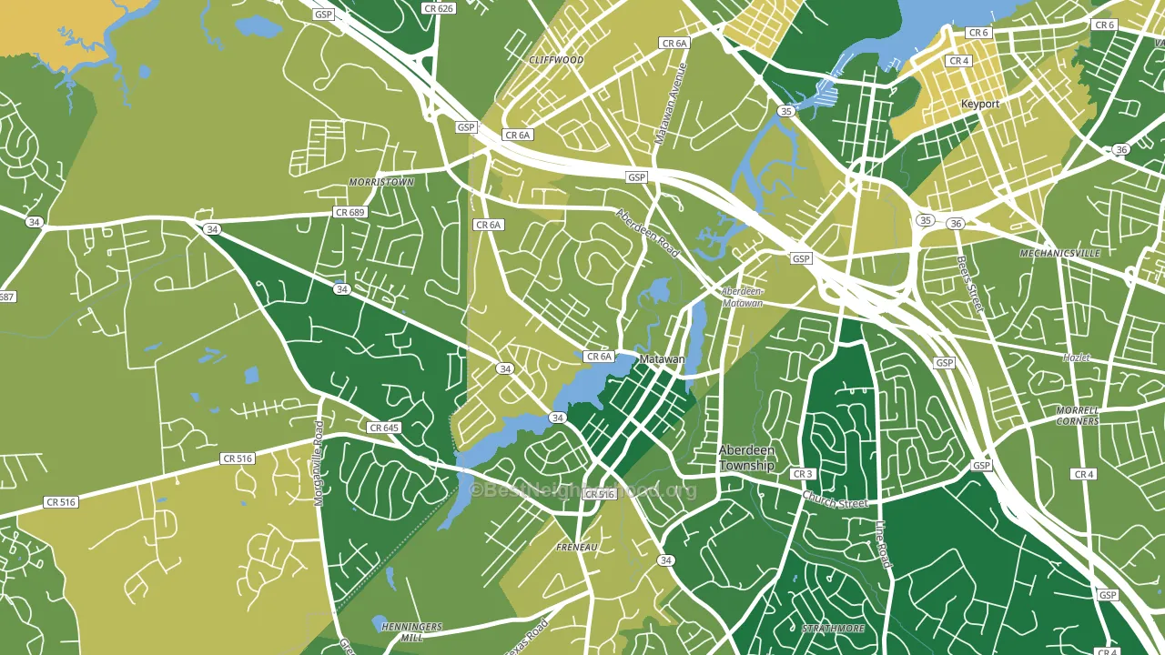 Ravine Gardens, Matawan, NJ block-group voter-turnout map