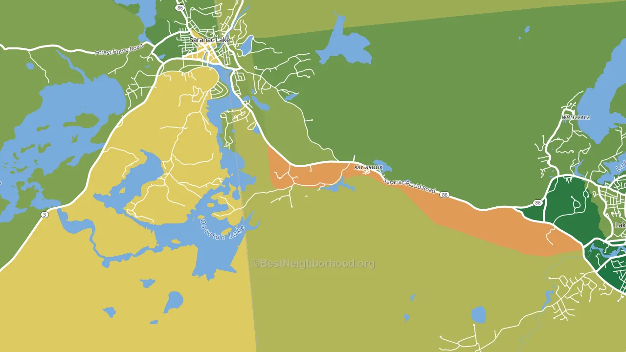 Ray Brook, NY block-group voter-turnout map