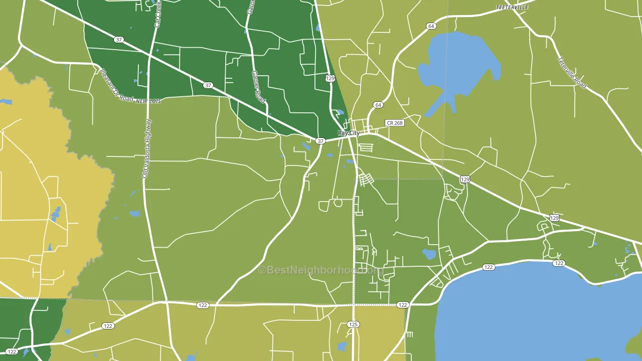 Ray City, GA block-group voter-turnout map
