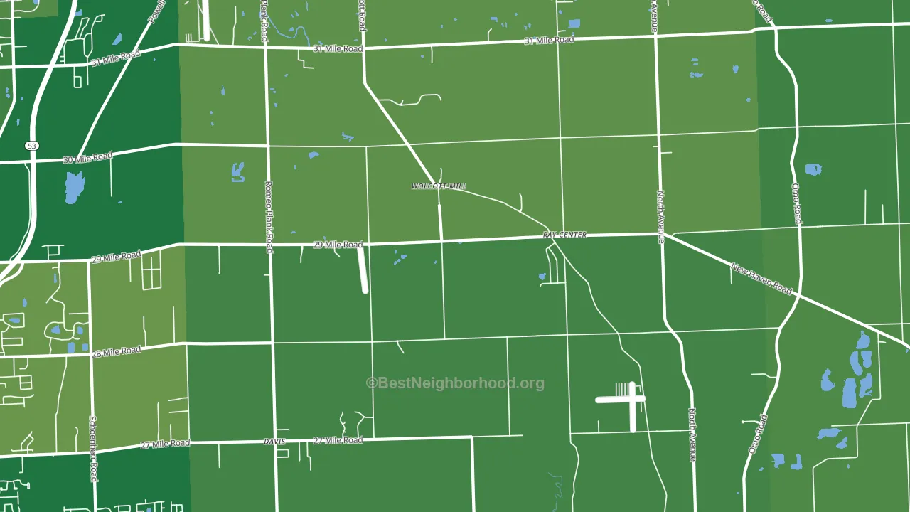 Ray, MI block-group voter-turnout map