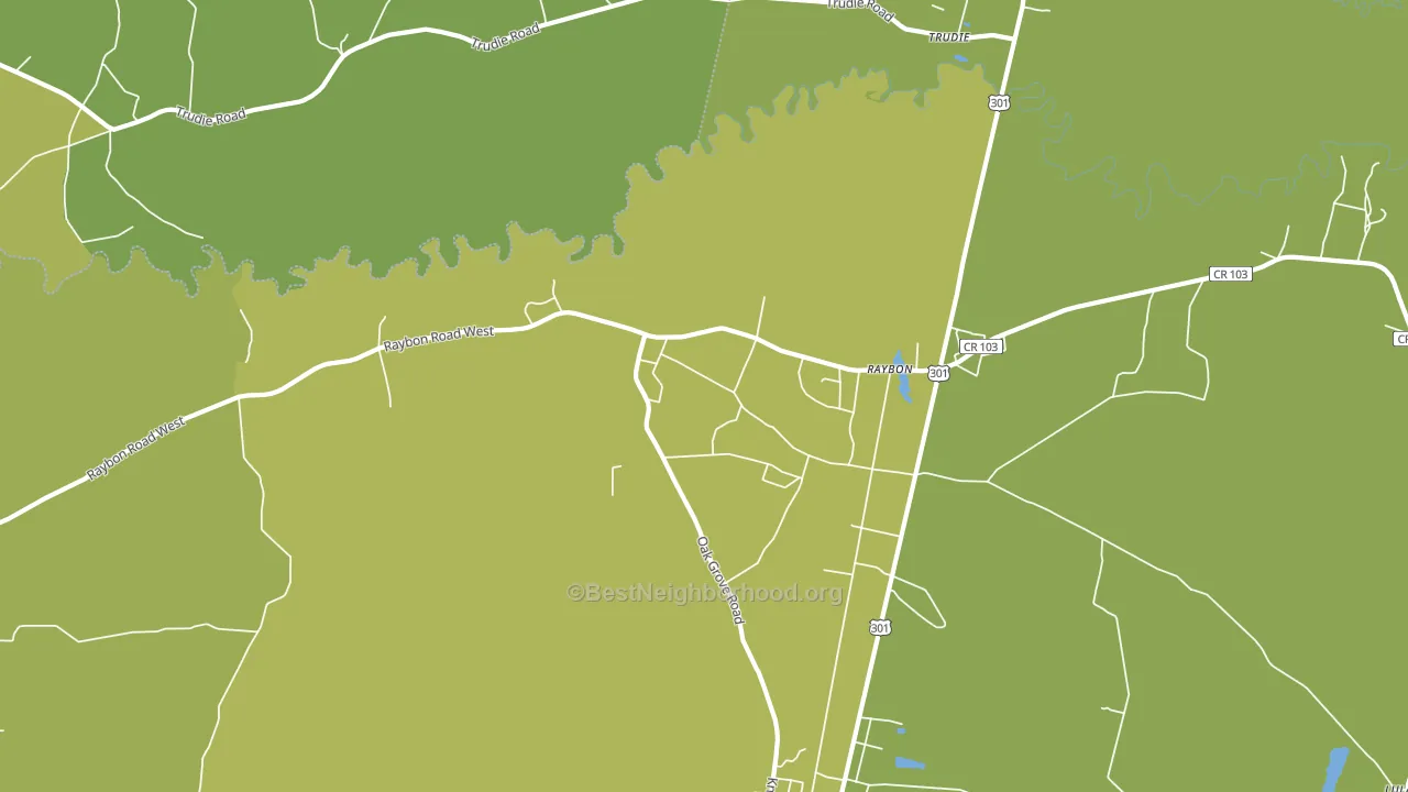 Raybon, GA block-group voter-turnout map