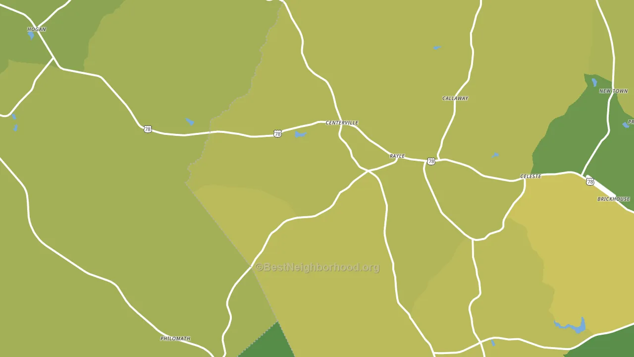 Rayle, GA block-group voter-turnout map