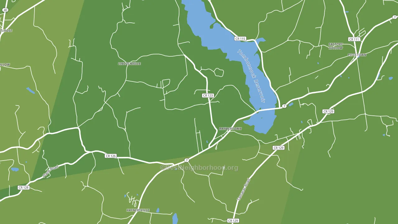 Raymertown, NY block-group voter-turnout map