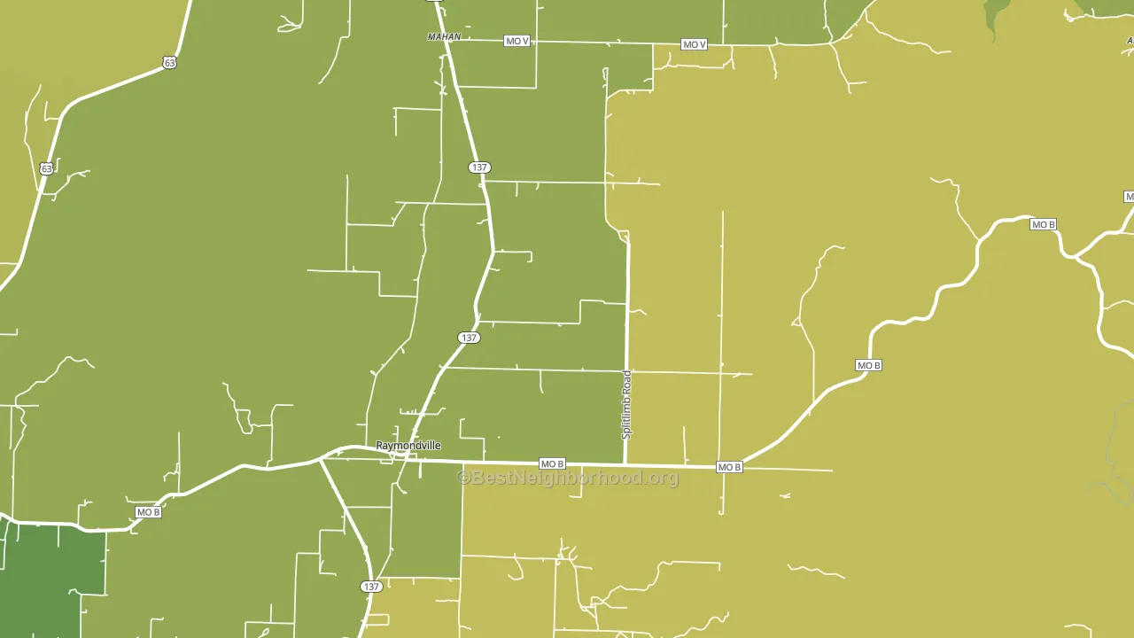 Raymondville, MO block-group voter-turnout map