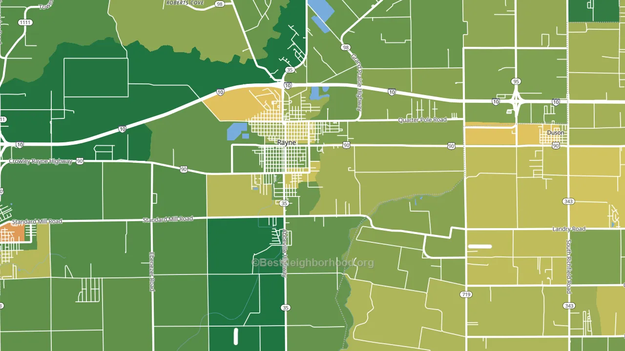 Rayne, LA block-group voter-turnout map