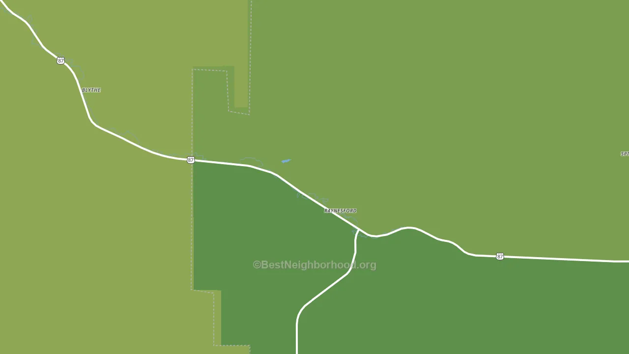 Raynesford, MT block-group voter-turnout map