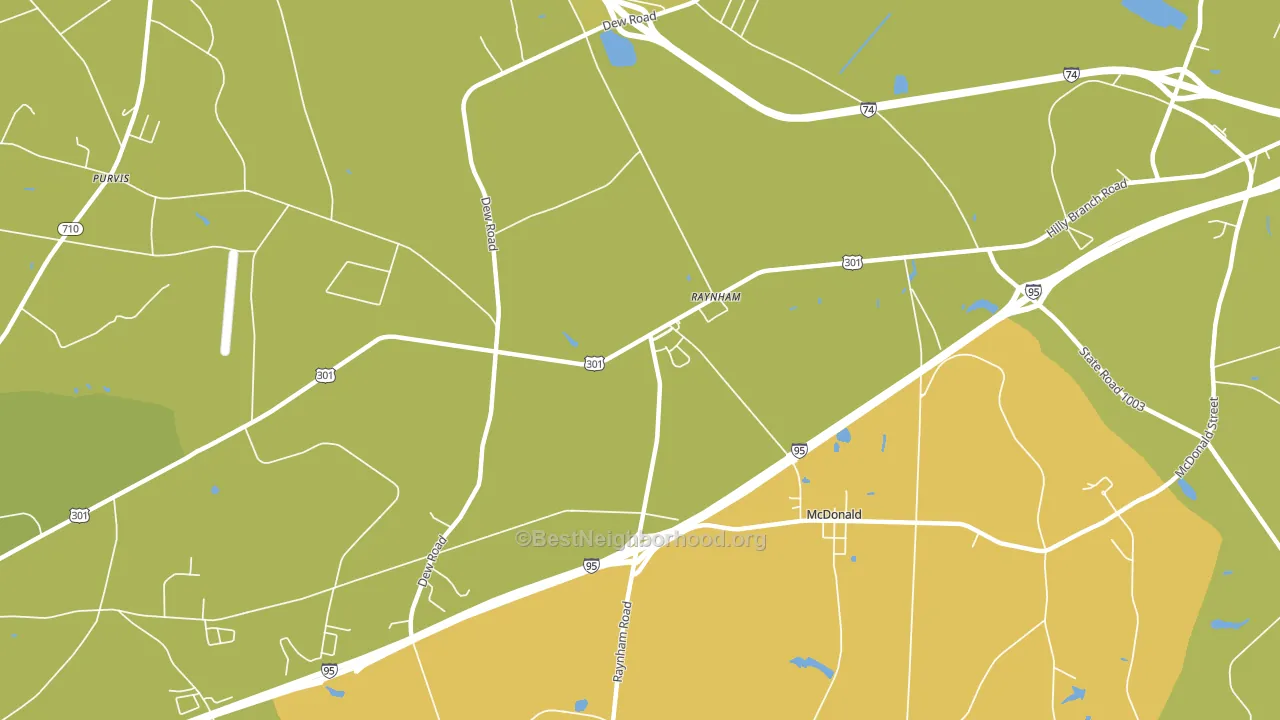 Raynham, NC block-group voter-turnout map