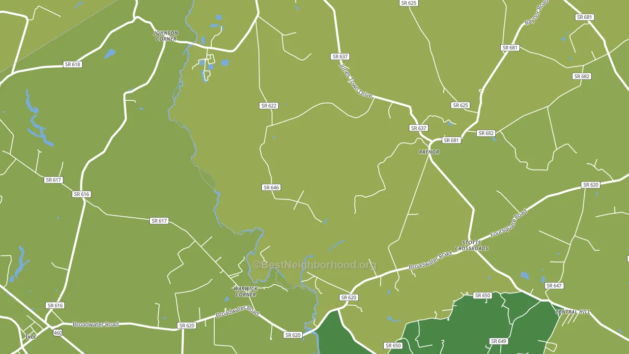 Raynor, VA block-group voter-turnout map
