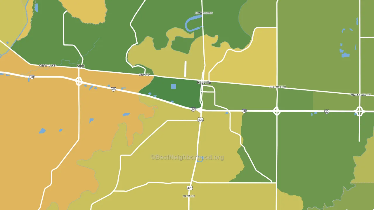 Rayville, LA block-group voter-turnout map