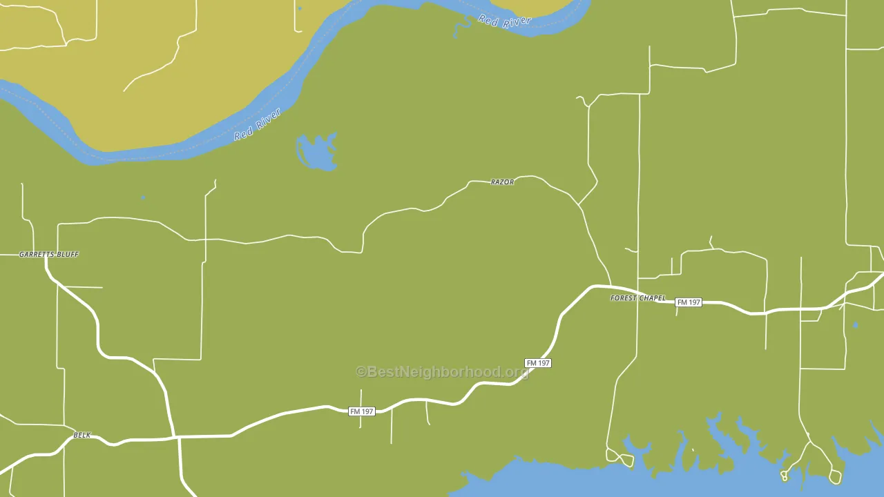 Razor, TX block-group voter-turnout map