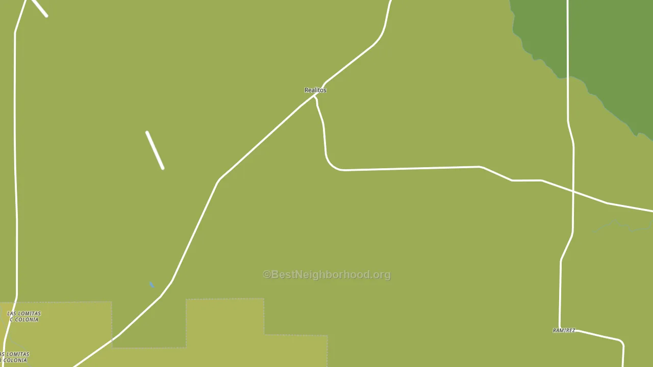 Realitos, TX block-group voter-turnout map