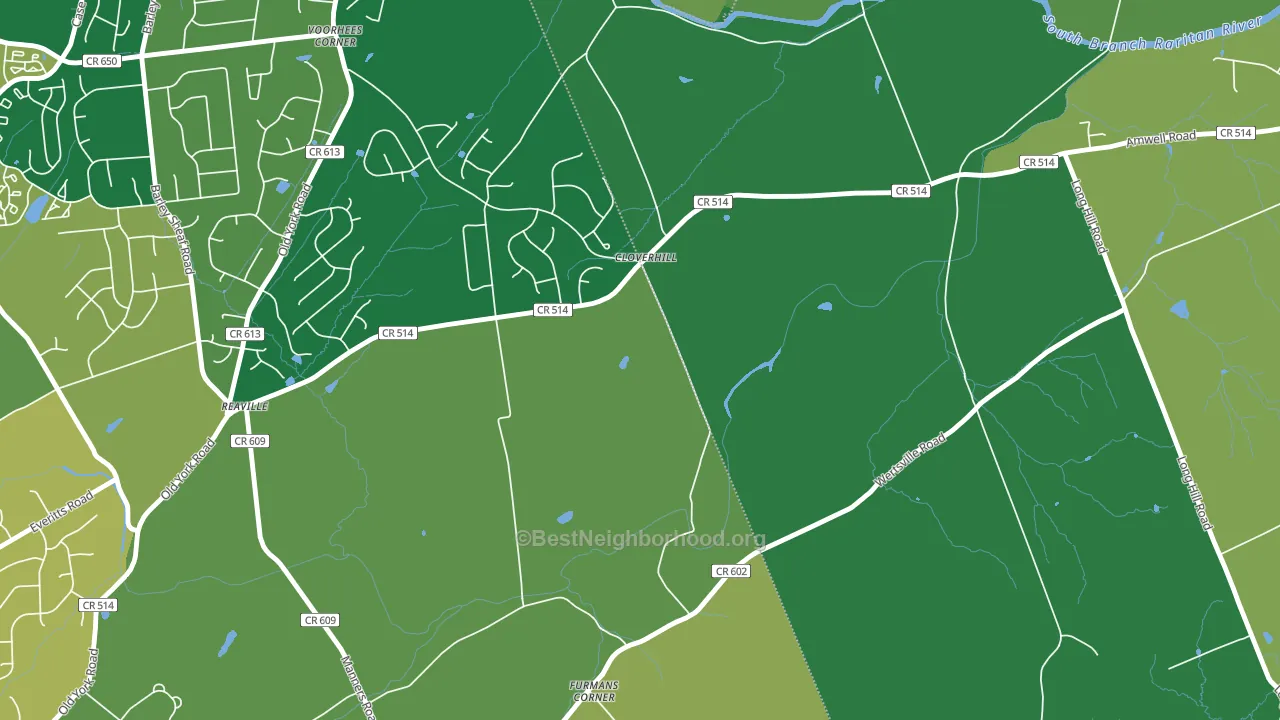 Reaville, NJ block-group voter-turnout map