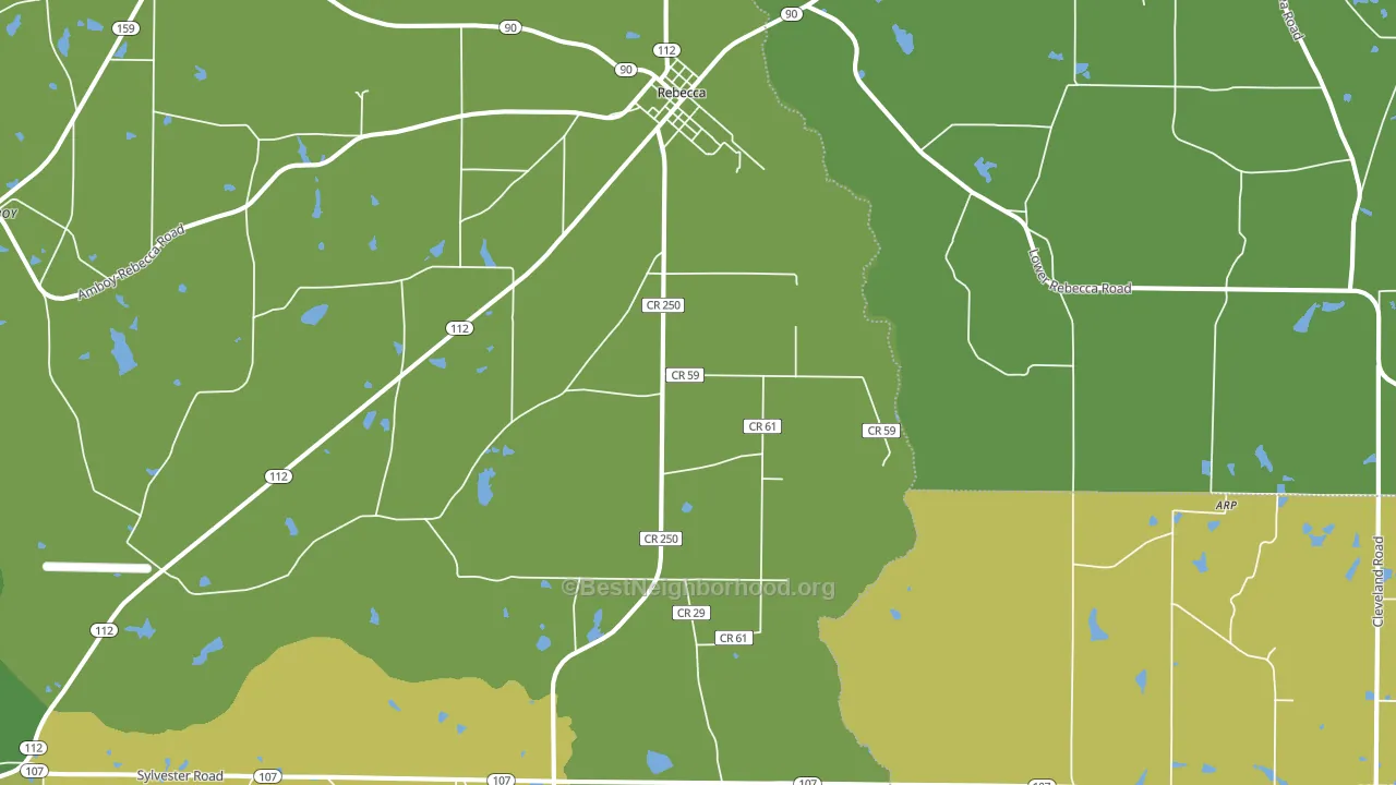 Rebecca, GA block-group voter-turnout map