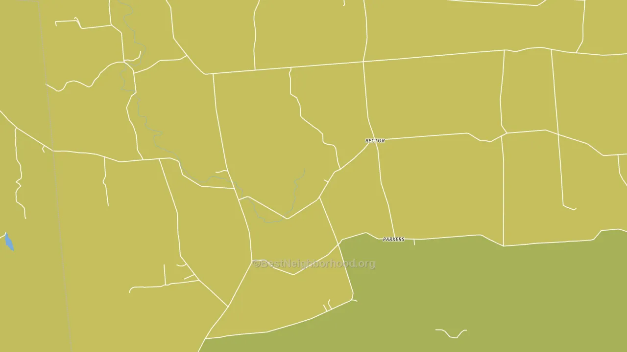 Rector, NY block-group voter-turnout map