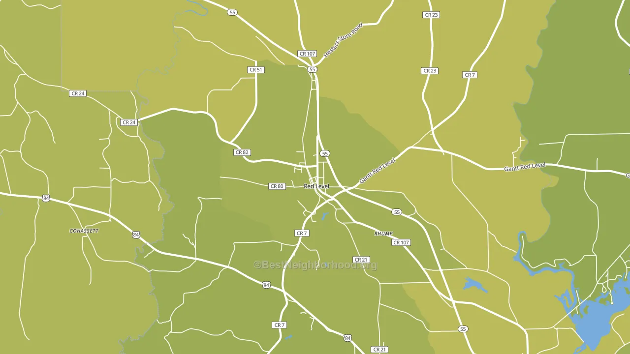 Red Level, AL block-group voter-turnout map