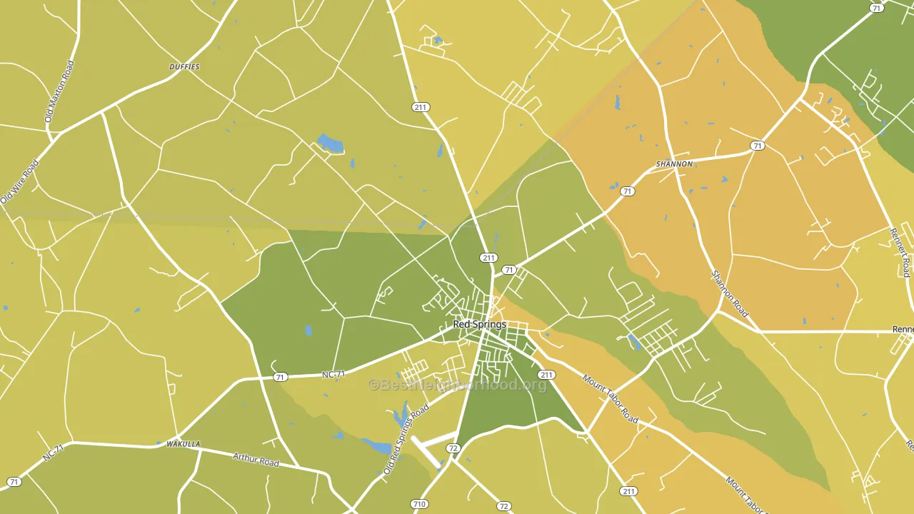 Red Springs, NC block-group voter-turnout map