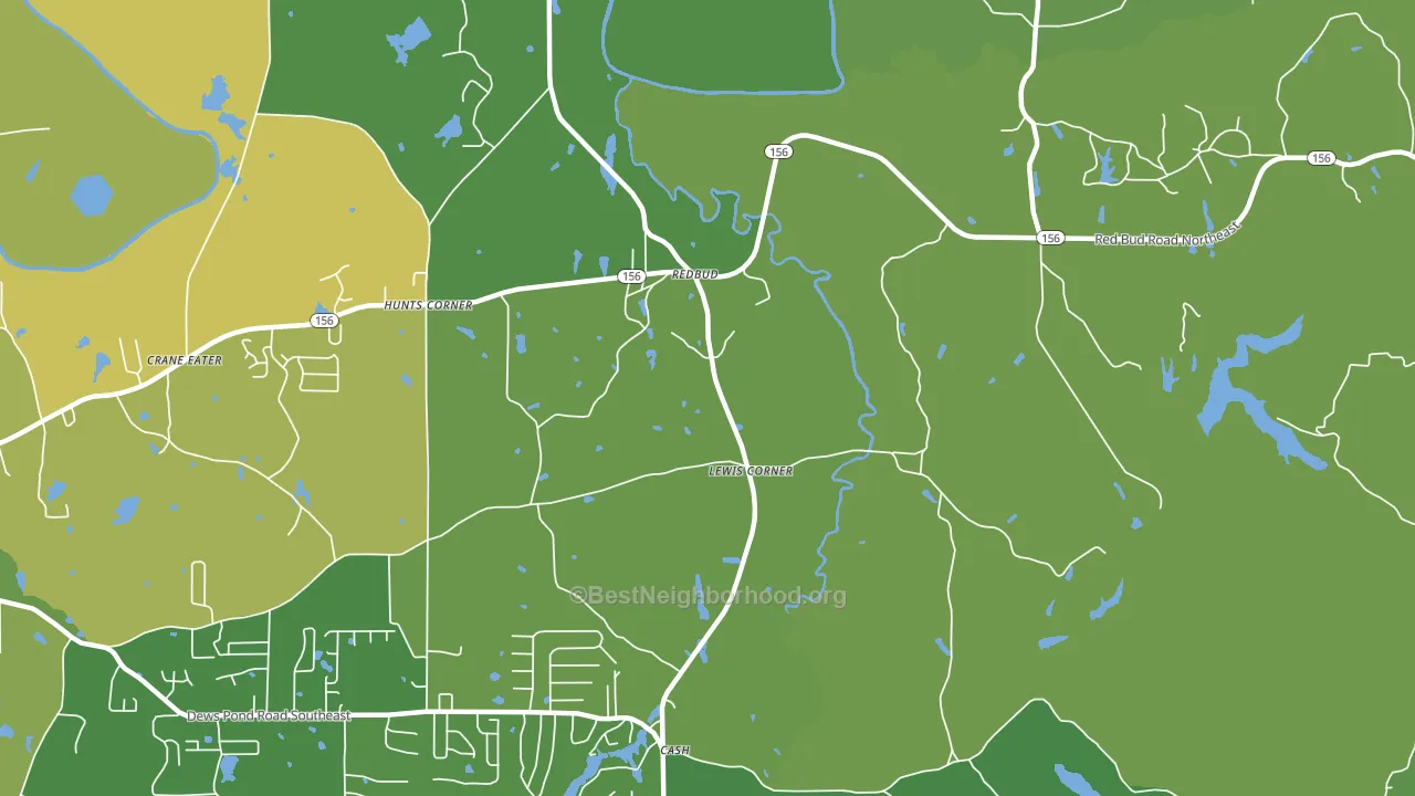 Redbud, GA block-group voter-turnout map