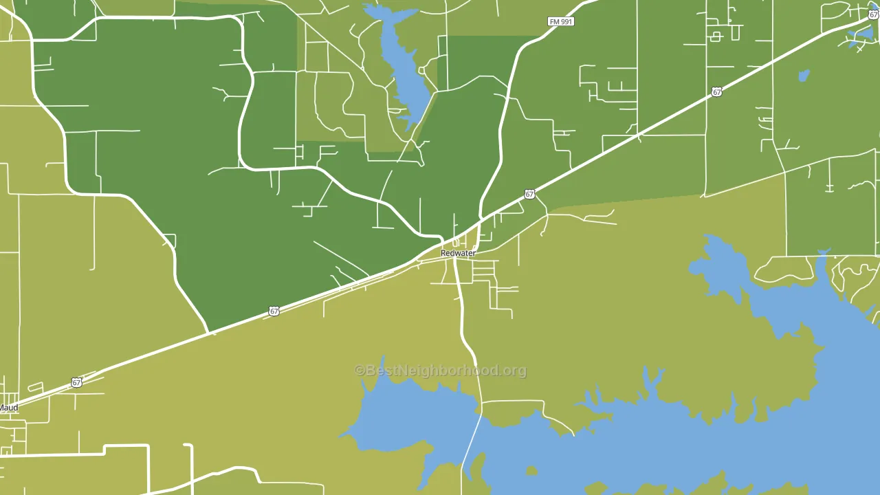 Redwater, TX block-group voter-turnout map