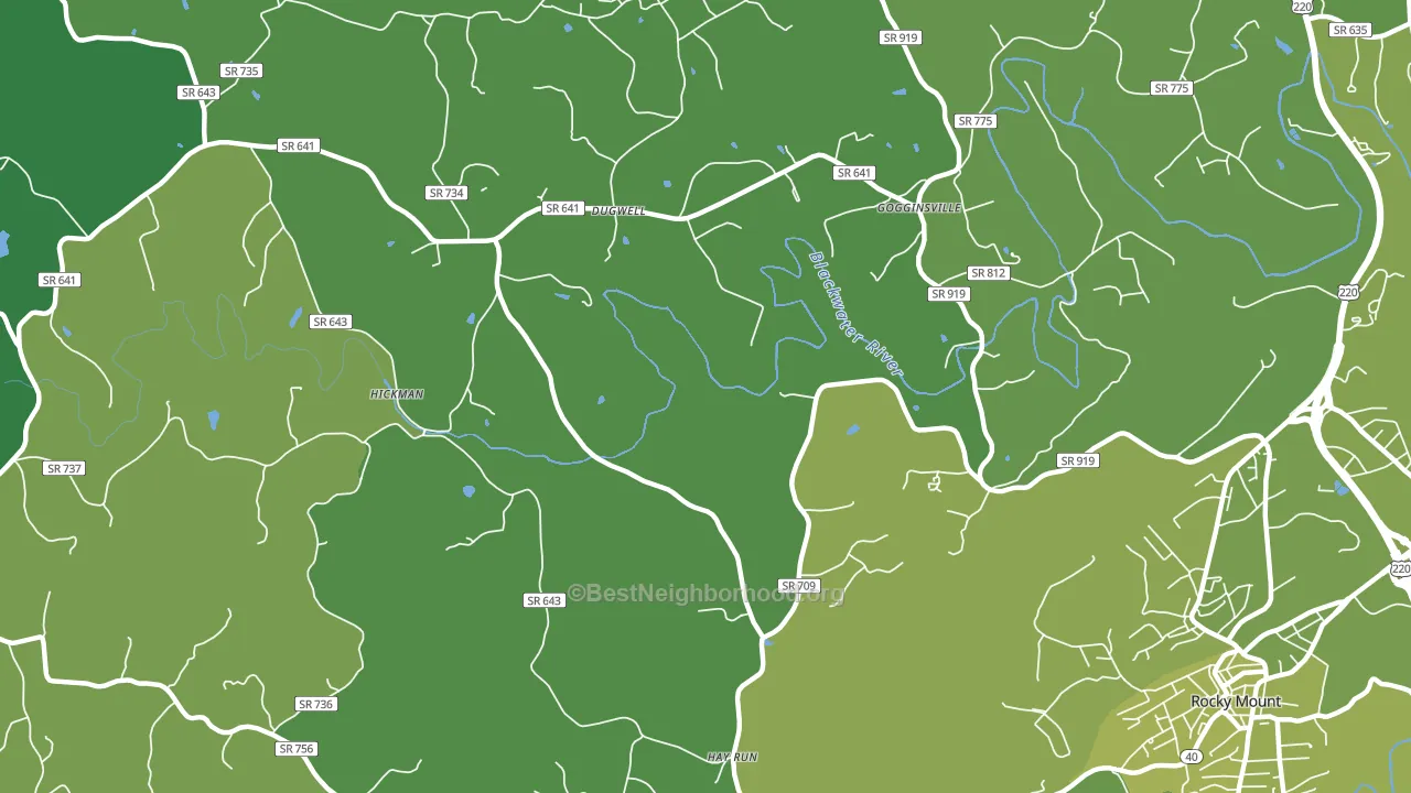 Redwood, VA block-group voter-turnout map